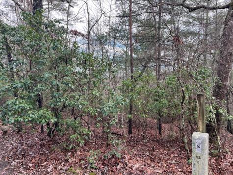 Lot 31 Fox Hunter Lane Brasstown NC 28902
