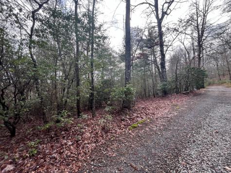Lot 31 Fox Hunter Lane Brasstown NC 28902
