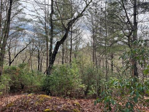 Lot 31 Fox Hunter Lane Brasstown NC 28902