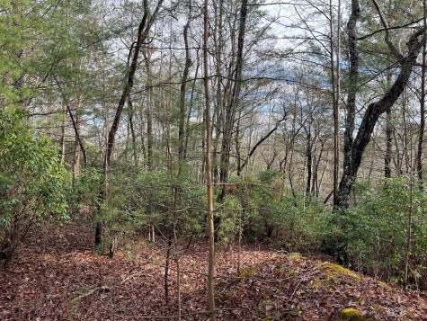 Lot 31 Fox Hunter Lane Brasstown NC 28902