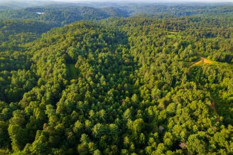 0 January Lane Ellijay GA 30540