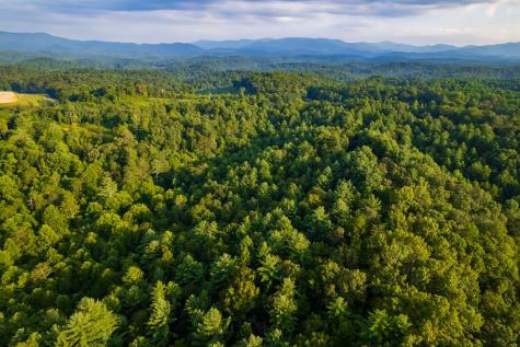 0 January Lane Ellijay GA 30540