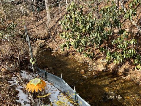 184/196 Bear Bend Blairsville GA 30512