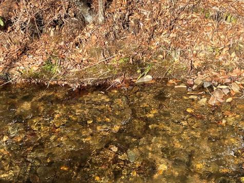 184/196 Bear Bend Blairsville GA 30512