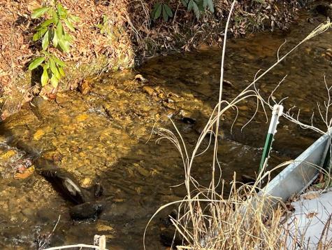 184/196 Bear Bend Blairsville GA 30512