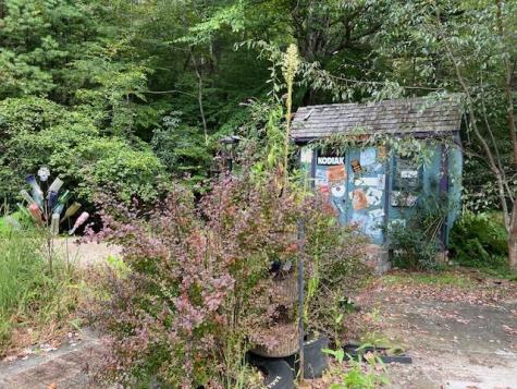 184/196 Bear Bend Blairsville GA 30512