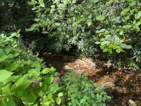 184/196 Bear Bend Blairsville GA 30512