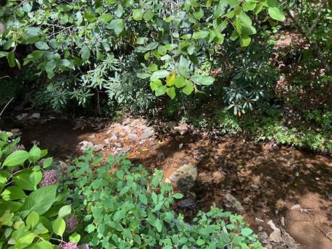 184/196 Bear Bend Blairsville GA 30512