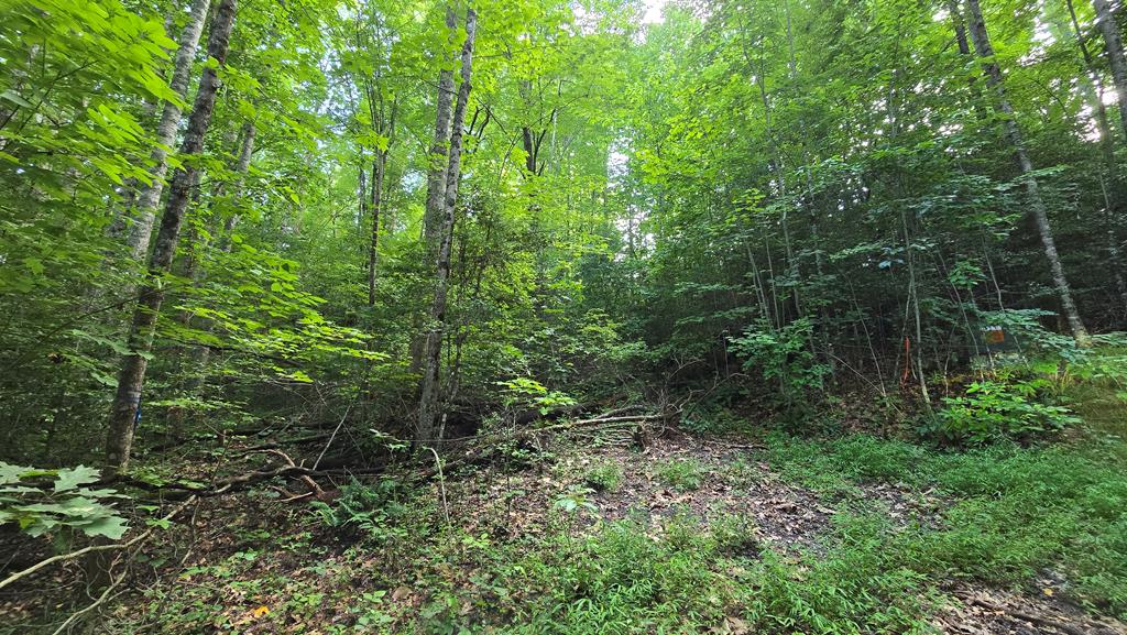 Lot 14 Kilpatrick Point Terrace Hayesville NC 28904