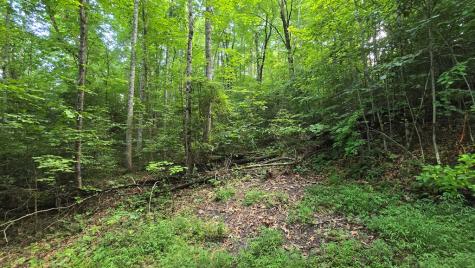 Lot 14 Kilpatrick Point Terrace Hayesville NC 28904