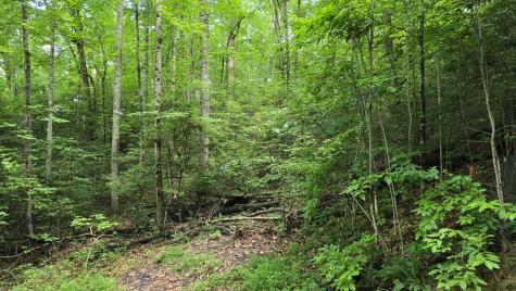 Lot 14 Kilpatrick Point Terrace Hayesville NC 28904