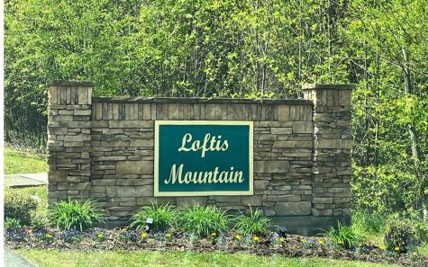 37 Loftis Mountain Blairsville GA 30512