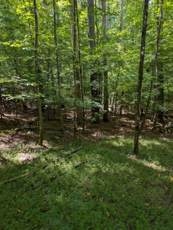 Lt 3079r Monocle Drive Ellijay GA 30540