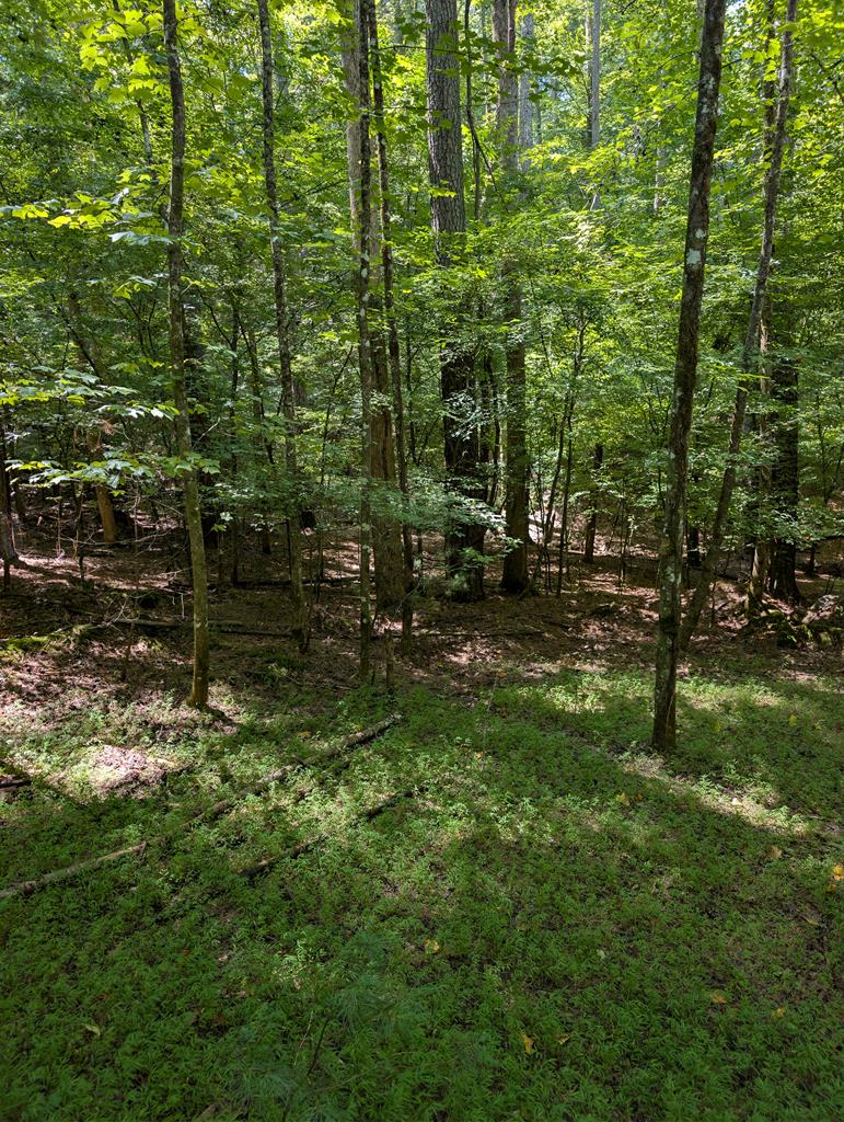 Lt 3079r Monocle Drive Ellijay GA 30540