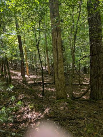 Lt 3079r Monocle Drive Ellijay GA 30540
