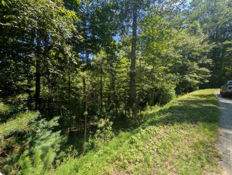 Lt 3079r Monocle Drive Ellijay GA 30540