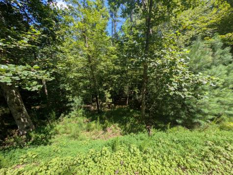 Lt 3079r Monocle Drive Ellijay GA 30540