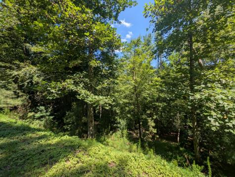 Lt 3079r Monocle Drive Ellijay GA 30540