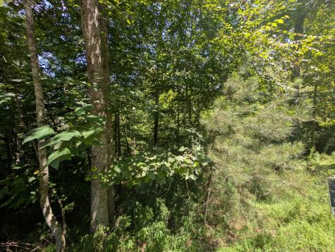 Lt 3079r Monocle Drive Ellijay GA 30540