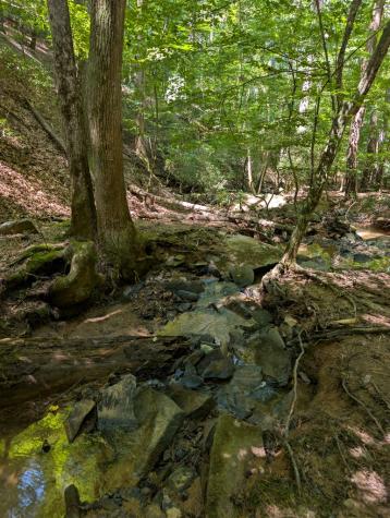 Lt 3079r Monocle Drive Ellijay GA 30540