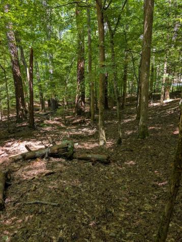 Lt 3079r Monocle Drive Ellijay GA 30540