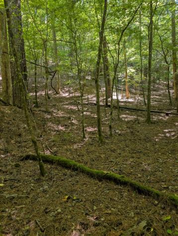 Lt 3079r Monocle Drive Ellijay GA 30540