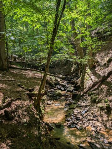 Lt 3079r Monocle Drive Ellijay GA 30540