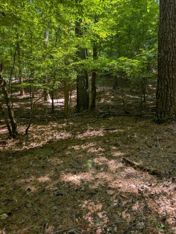Lt 3079r Monocle Drive Ellijay GA 30540