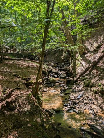 Lt 3079r Monocle Drive Ellijay GA 30540