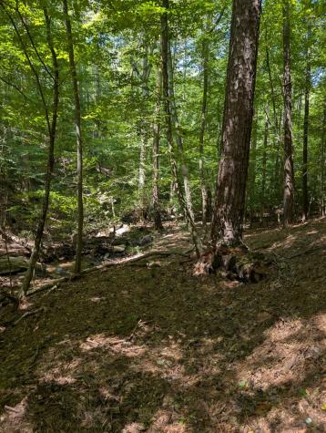 Lt 3079r Monocle Drive Ellijay GA 30540
