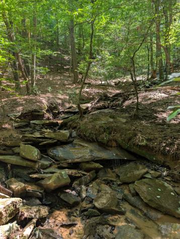Lt 3079r Monocle Drive Ellijay GA 30540