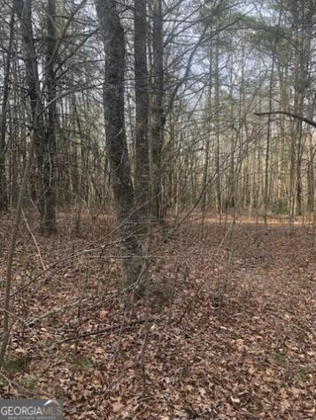 Lot 22 East Ridge Lane Ellijay GA 30540