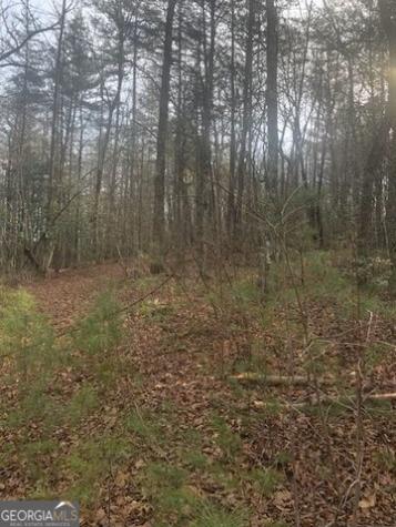 Lot 22 East Ridge Lane Ellijay GA 30540