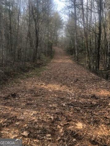 Lot 22 East Ridge Lane Ellijay GA 30540