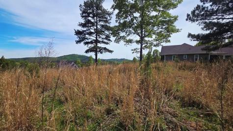 Lot 48 Water Oak Lane Blairsville GA 30512
