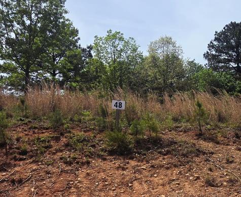 Lot 48 Water Oak Lane Blairsville GA 30512