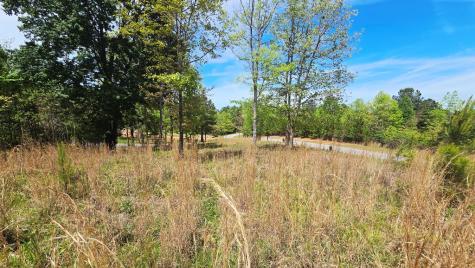 Lot 48 Water Oak Lane Blairsville GA 30512