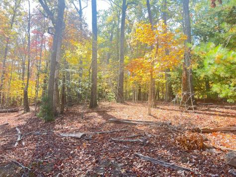 0 Robert Miller Lane Mineral Bluff GA 30559