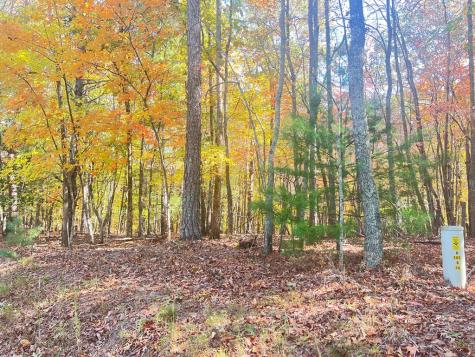 0 Robert Miller Lane Mineral Bluff GA 30559