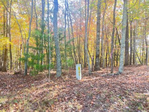 0 Robert Miller Lane Mineral Bluff GA 30559