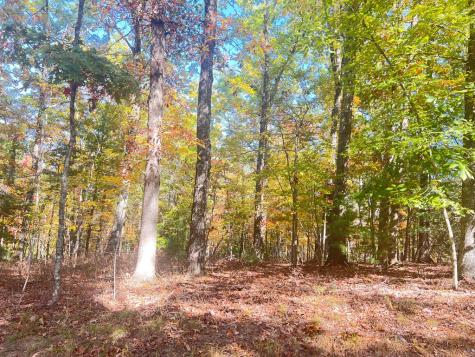 0 Robert Miller Lane Mineral Bluff GA 30559