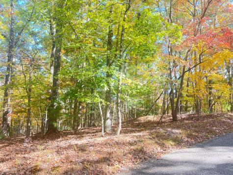 0 Robert Miller Lane Mineral Bluff GA 30559