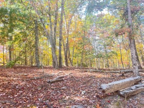 0 Robert Miller Lane Mineral Bluff GA 30559