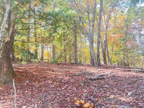 0 Robert Miller Lane Mineral Bluff GA 30559