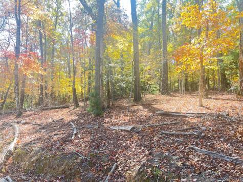 0 Robert Miller Lane Mineral Bluff GA 30559