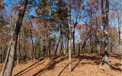 Lot 40 Preserve Trail Ellijay GA 30536