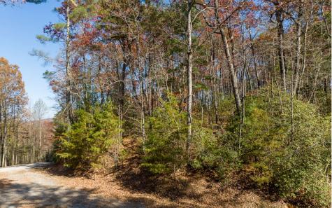 Lot 40 Preserve Trail Ellijay GA 30536