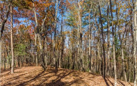 Lot 40 Preserve Trail Ellijay GA 30536