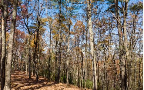 Lot 40 Preserve Trail Ellijay GA 30536