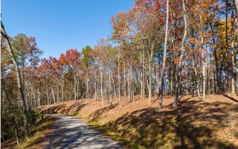 Lot 40 Preserve Trail Ellijay GA 30536